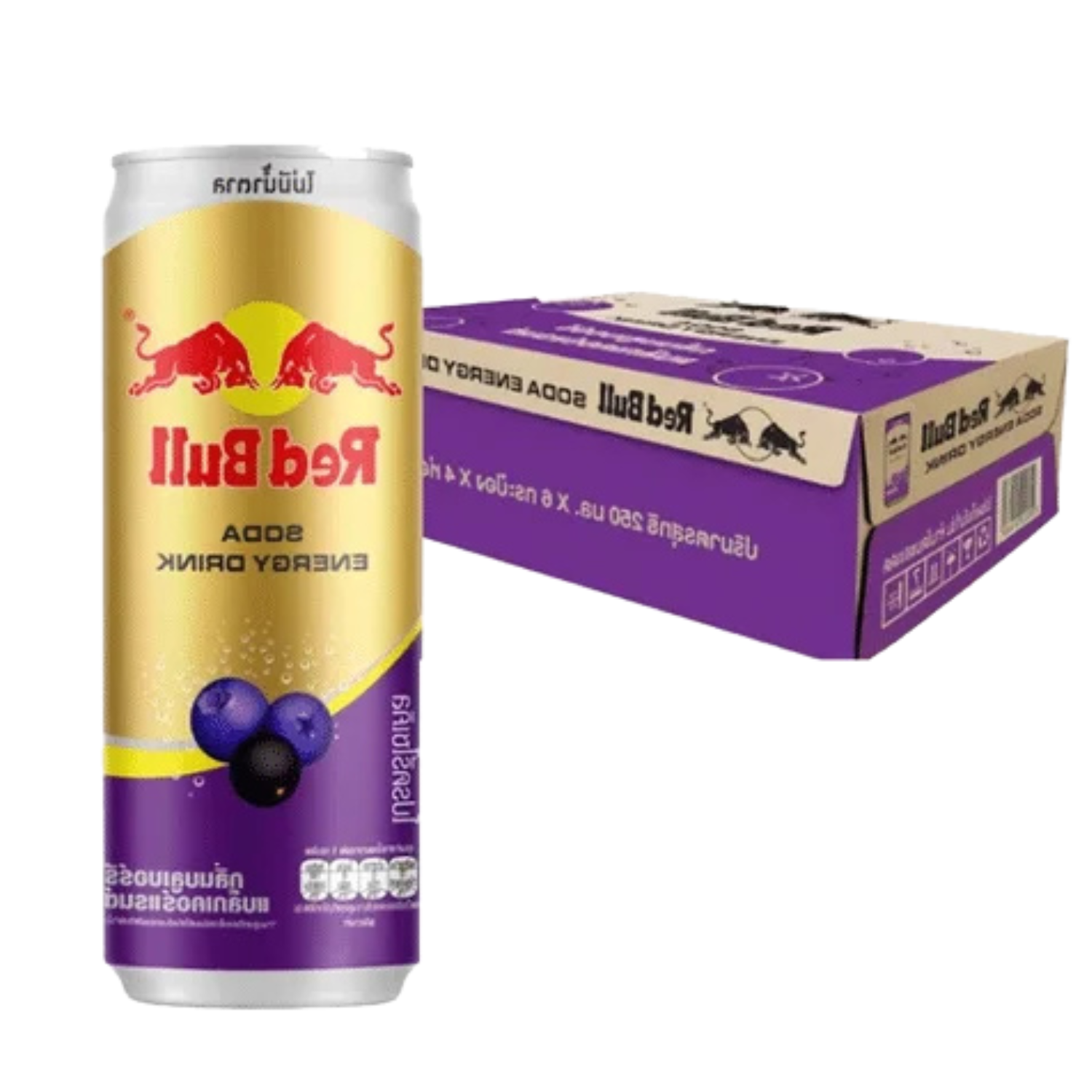 X24 Red Bull Thailand Blueberry 250ml